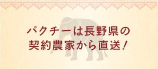パクチーは長野県の契約農家から直送！
